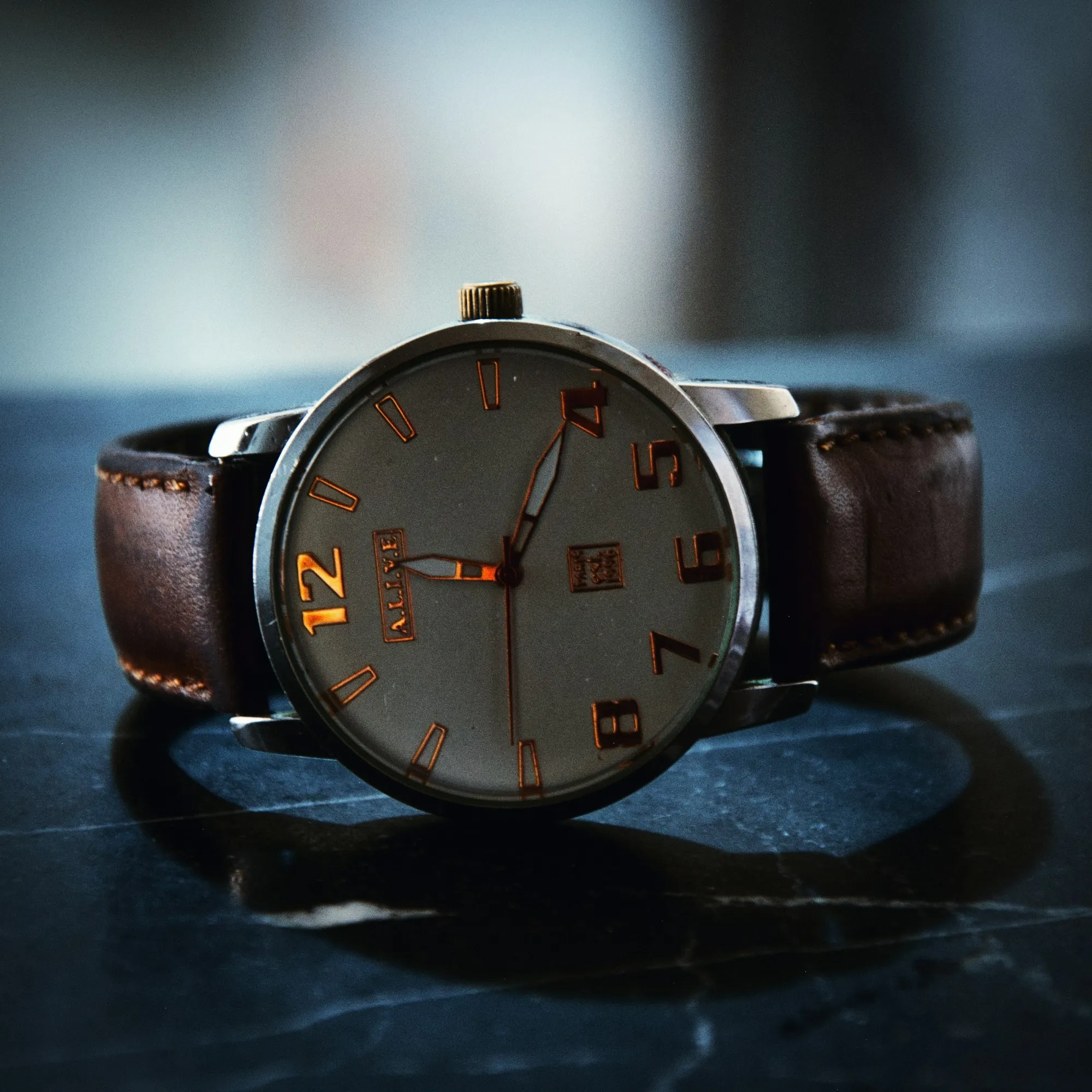 StrapVault Watch straps